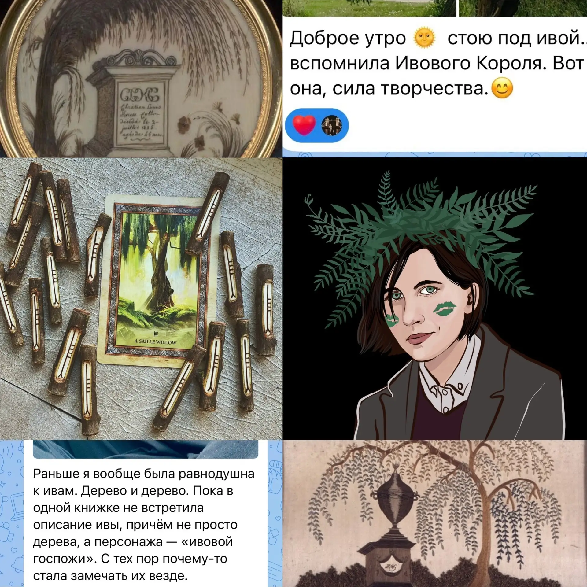 🌿 мы уже писали про иву в огаме и про иву магическую (все есть в основной группе). В н...