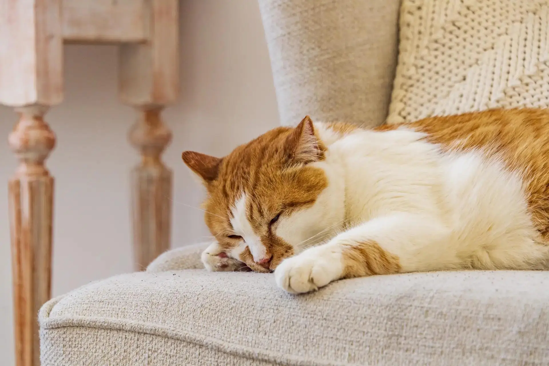 😻Решили сегодня с Элей устроить день ничегонеделанья.