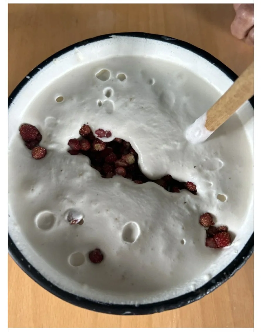 У нас вкусный завтрак- земляника со взбитыми сливками ( дьэдьэннээх күөрчэх).