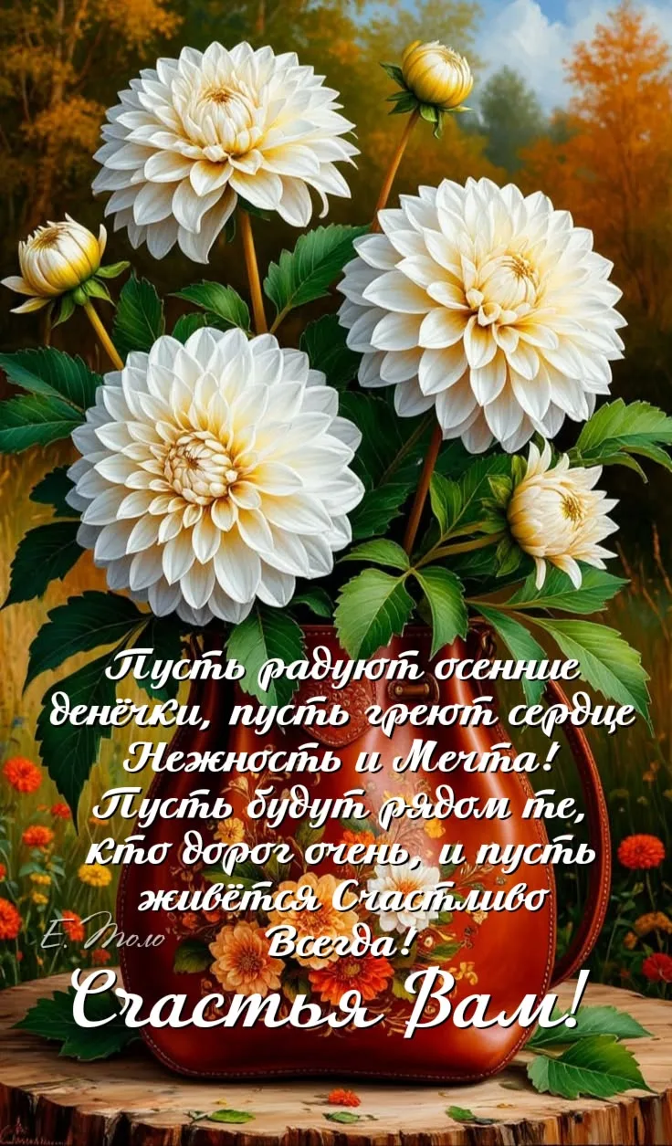 https://max.ru/invista123456