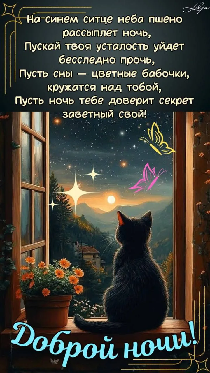 Открытки из WA — Подписывайся