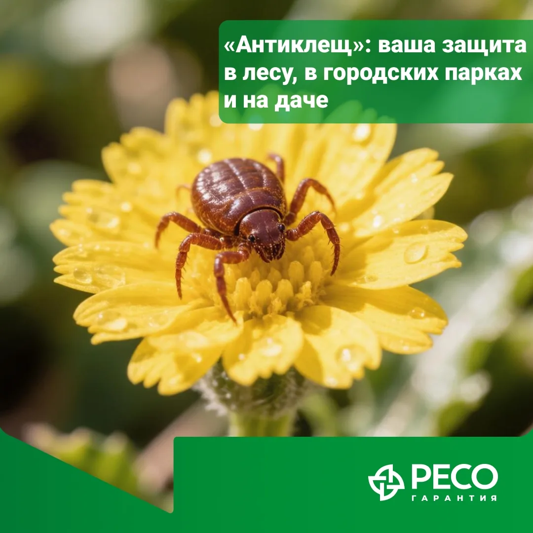 ✅Весна удивила не только теплом, но и ранним стартом сезона активности клещей. 

По данным Роспотреб