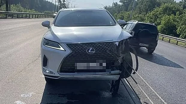 В Уфе столкнулись «Лада Гранта» и «Лексус», после чего последний наехал на ограждение

Сегодня, 16 и