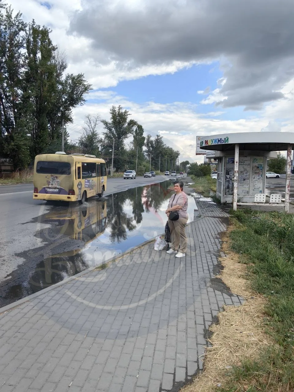 Займутся ли водоотведением на Максима Горького?