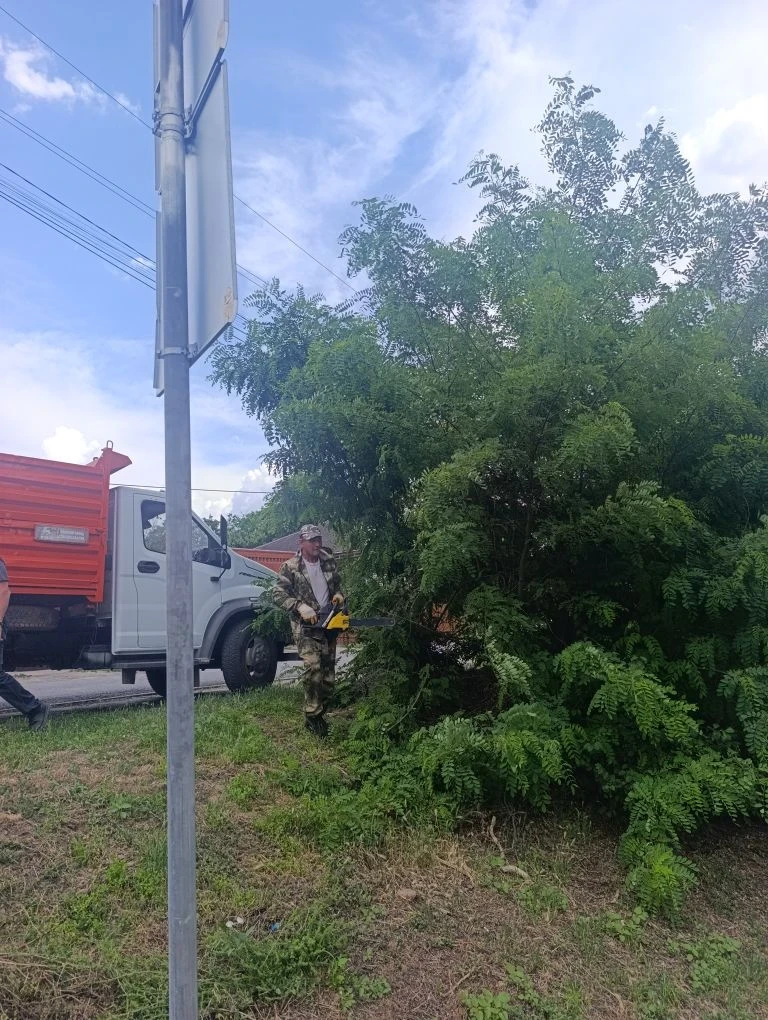 Обрезка деревьев возле знаков