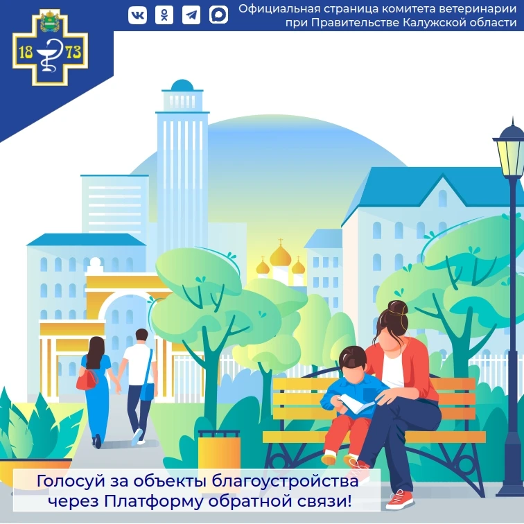 🗳️ Голосуй за объекты благоустройства через Платформу обратной связи!