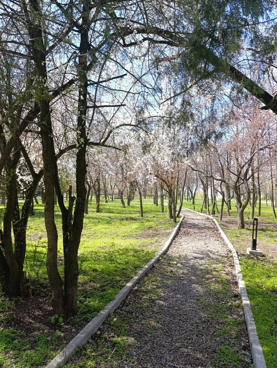 Весенний вернисаж 🌿