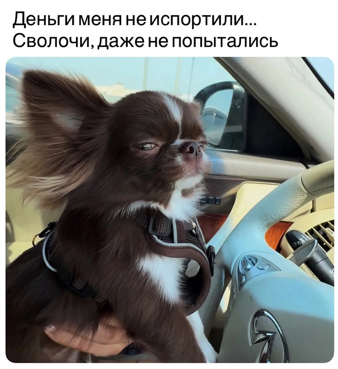 Тётя Фанни