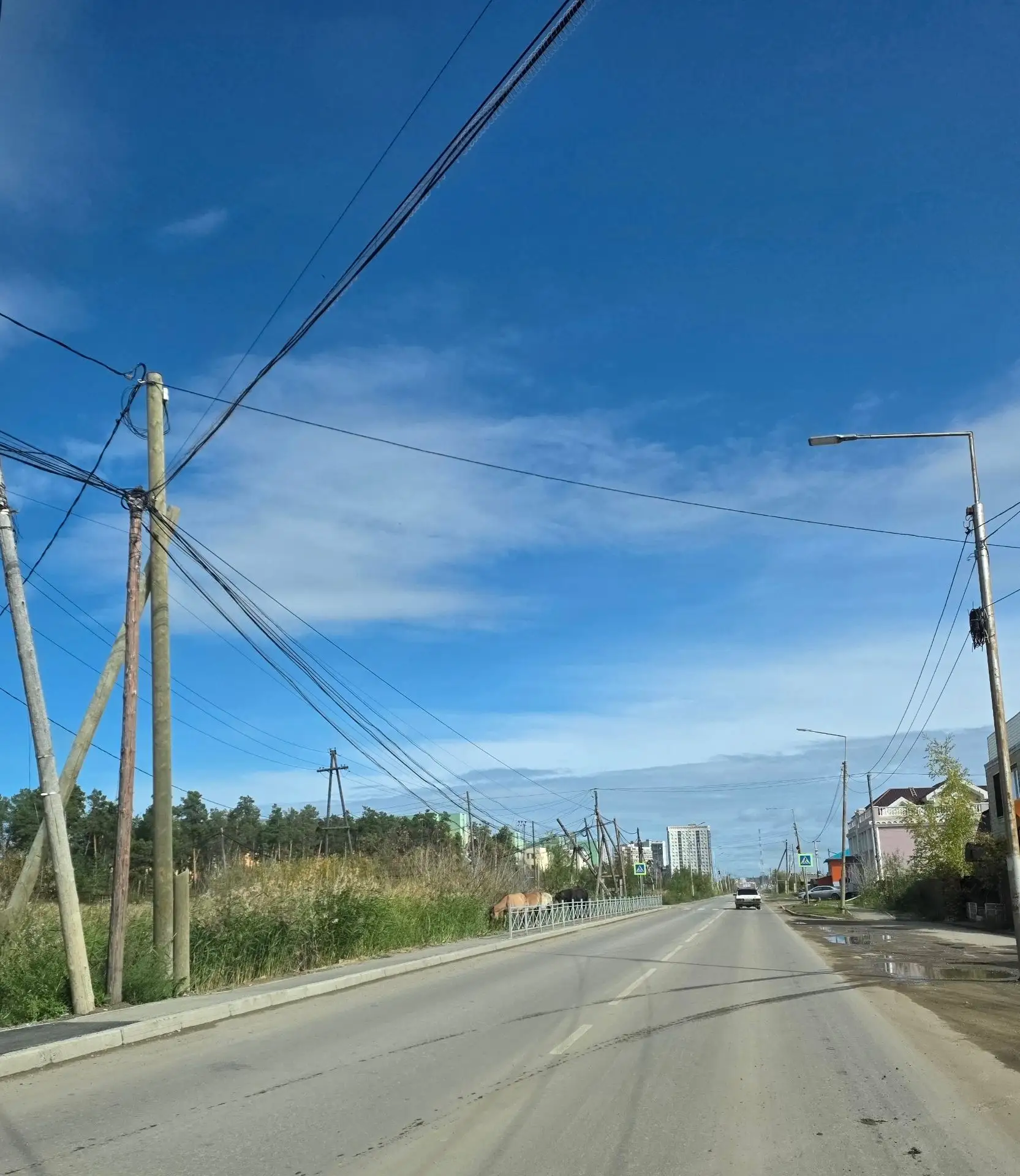 Замечательный подписчик @pryanayayakutia: