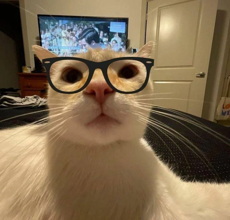 🤓День зануды отмечается сегодня