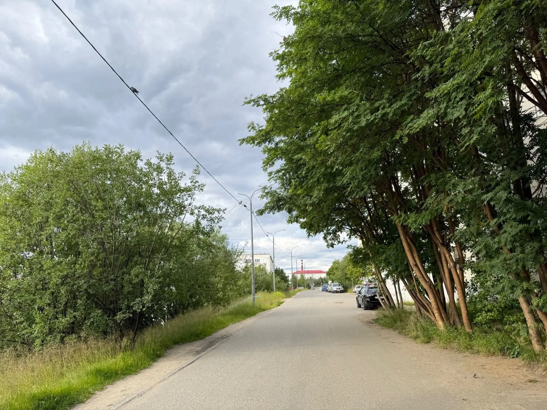 📸 Никель сегодня