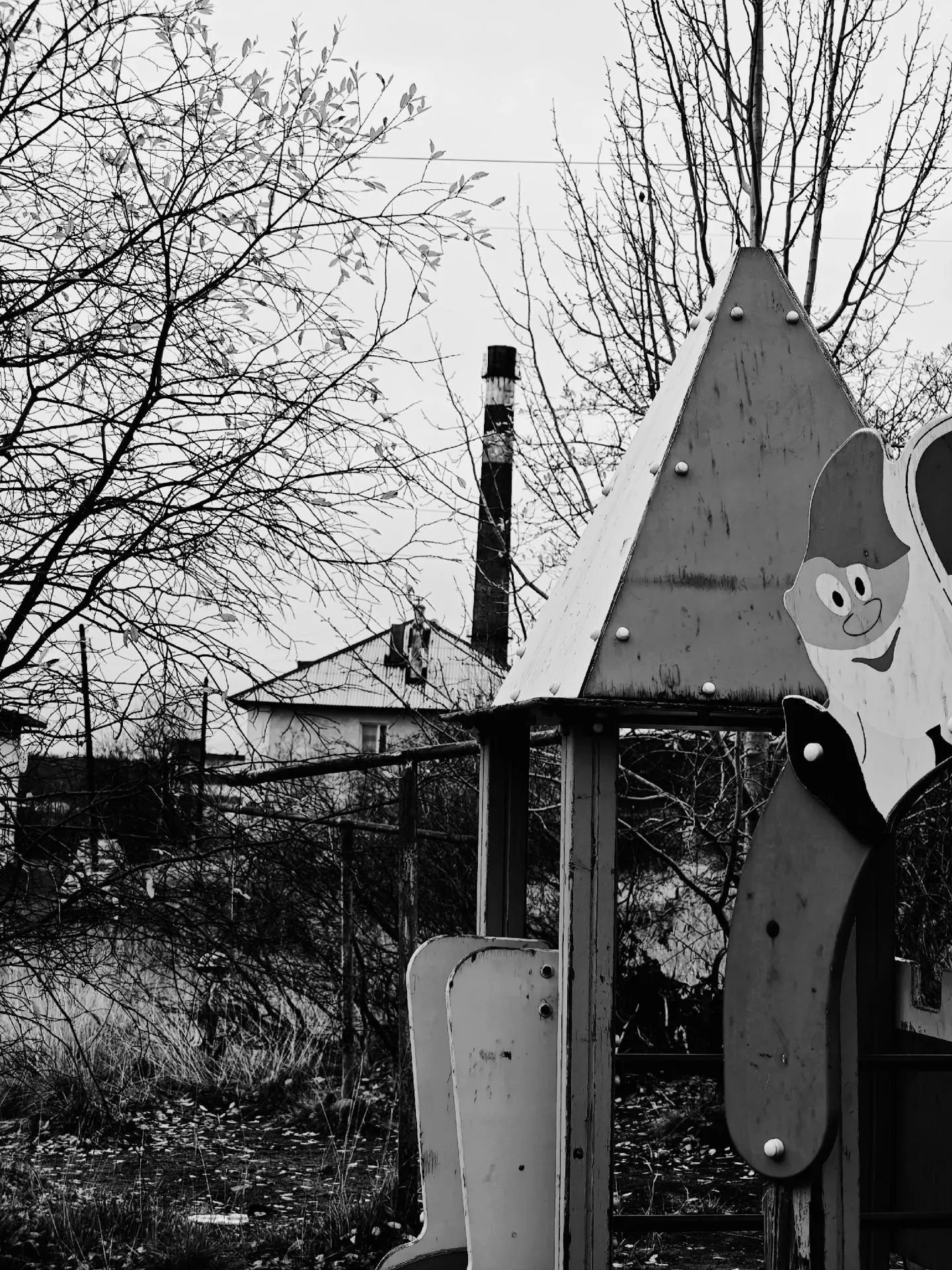 📷 Ч/Б Никель