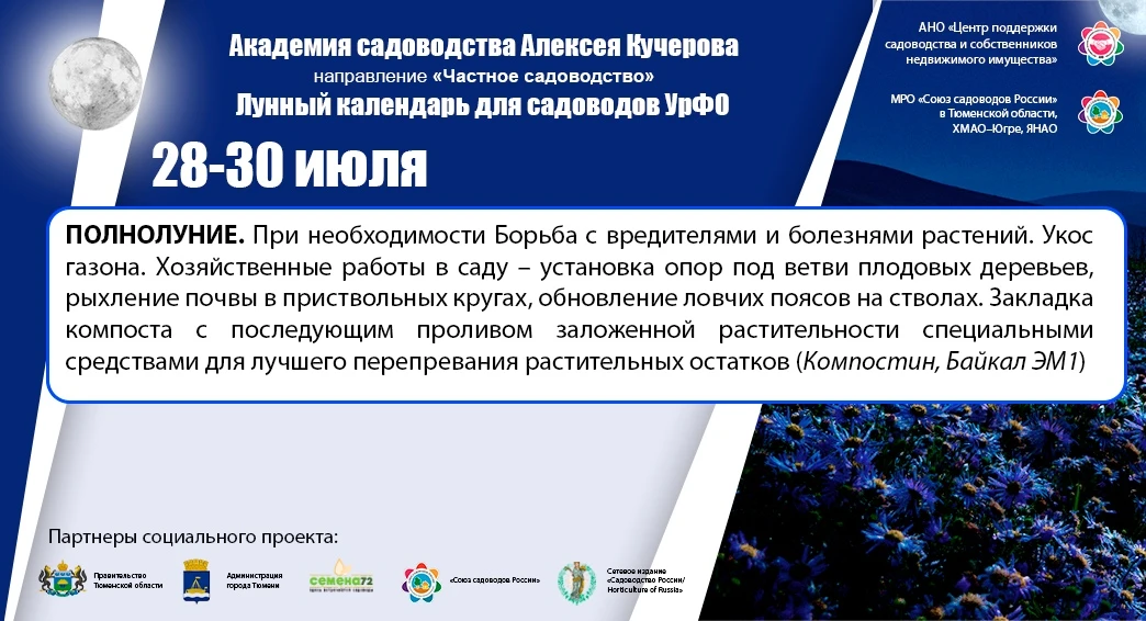Лунный календарь на 28-30 июля 2026 г.