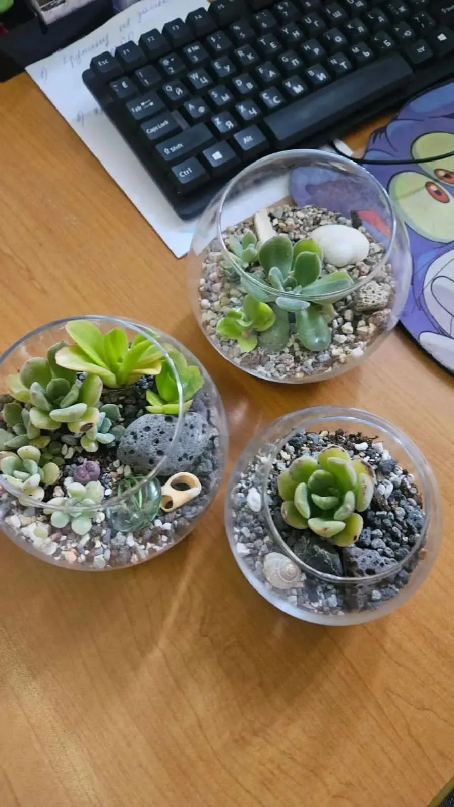 🌱 Флорариумы: когда наука — это искусство! 🎨