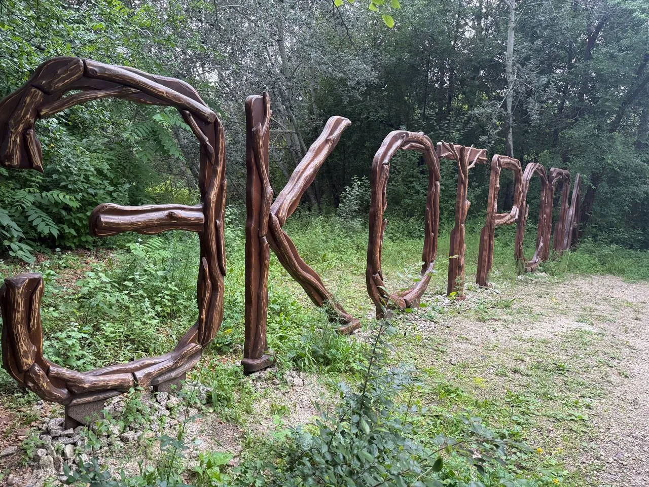 Экотропа «Дендрарий» в городе Свободном откроется в ноябре