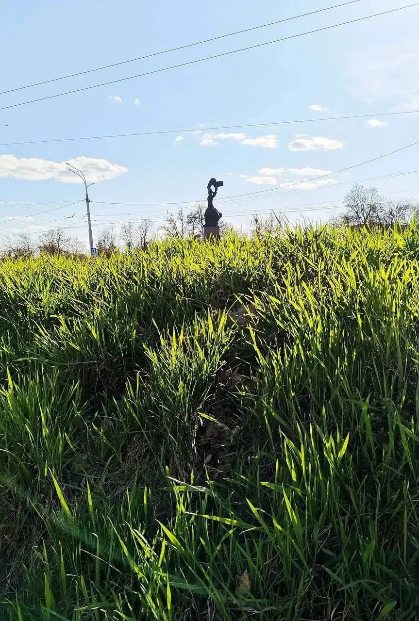 Лето. ☀️