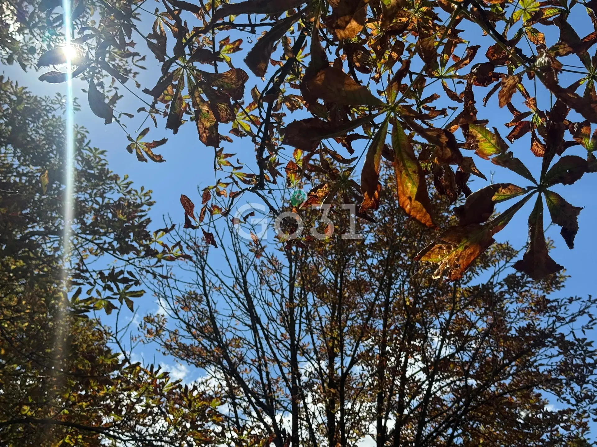 Вечер в городе — это когда можно немного замедлиться 🍃