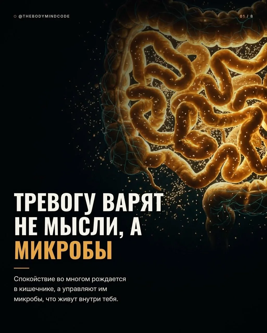 Спокойствие во многом зависит не от головы, а от кишечника. В его стенках около ста мил...