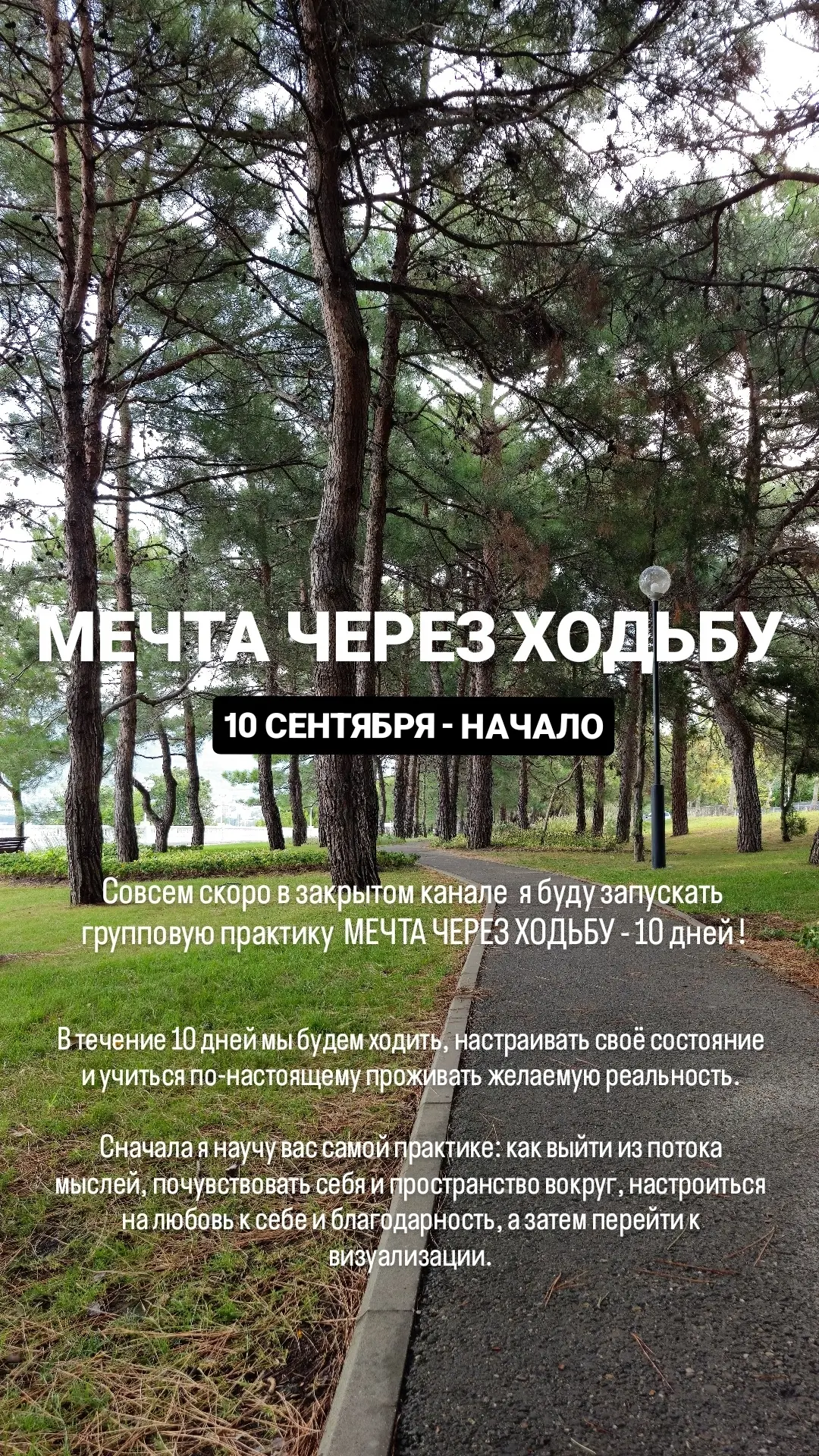 10 сентября запускаю групповую практику Мечта через ходьбу