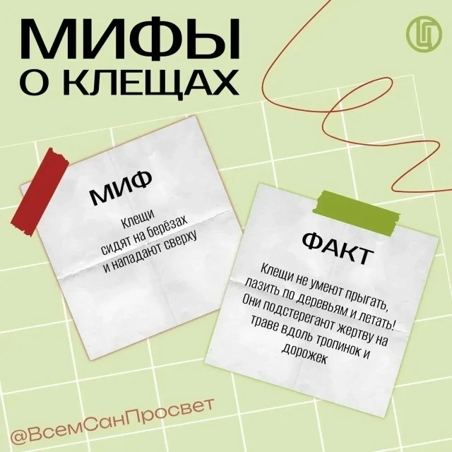 📍Мифы о клещах 👀🕷