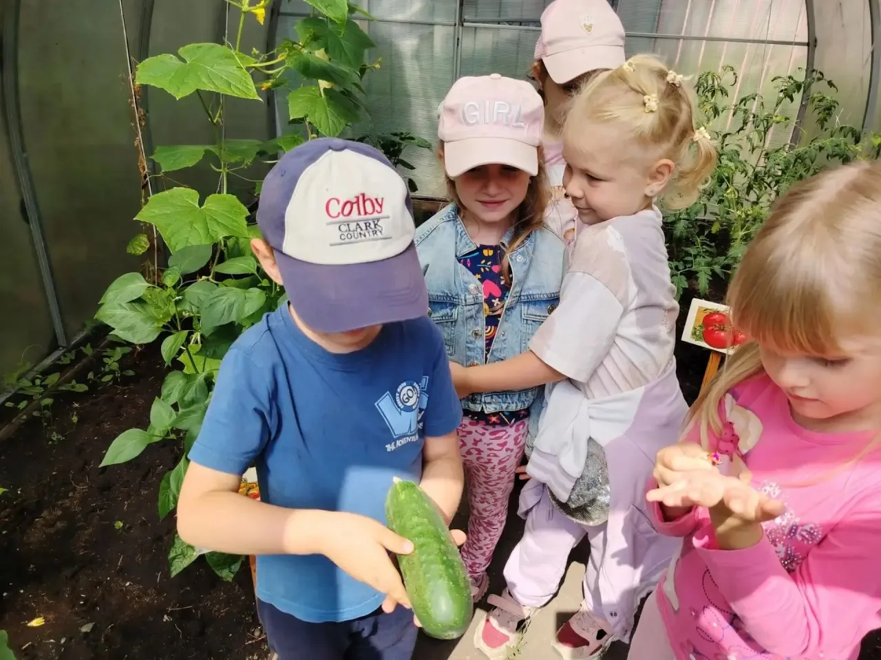 👩‍🌾Теплица — место силы наших ребят! 🫜

Кто сказал, что огород — это скучно? Наши дети доказали о