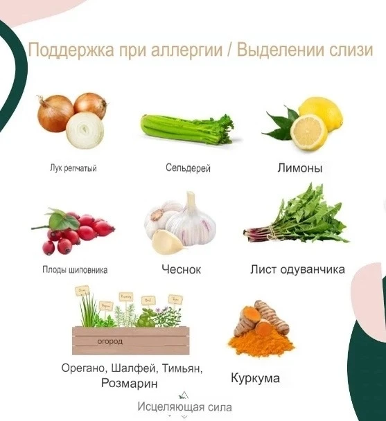 СЛИЗЕВЫВОДЯЩИЕ ПРОДУКТЫ ОТ АЛЛЕРГИИ

С приходом весны в северном полушарии начинается сезон аллергии