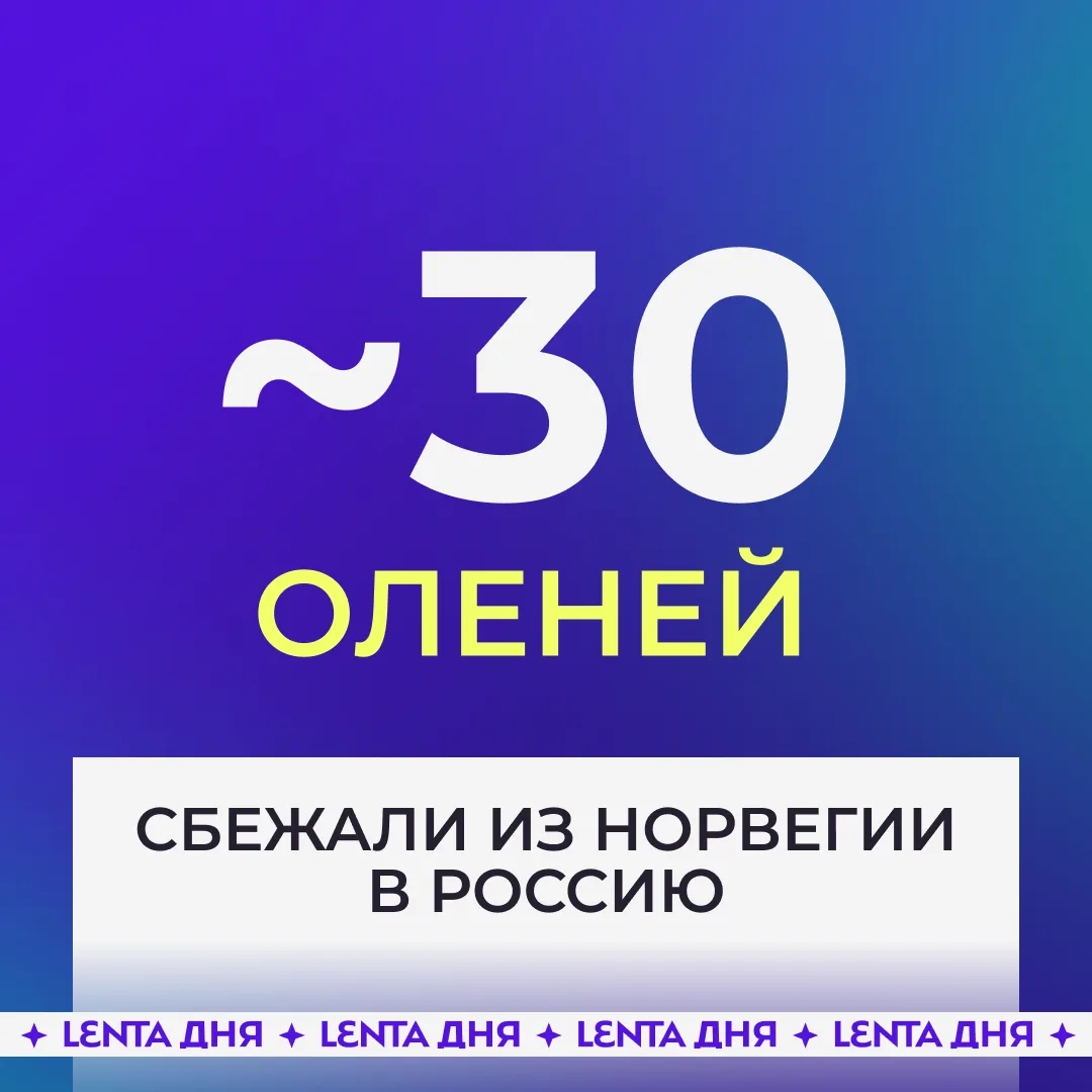 🦌 Норвежские олени сбежали в Россию.