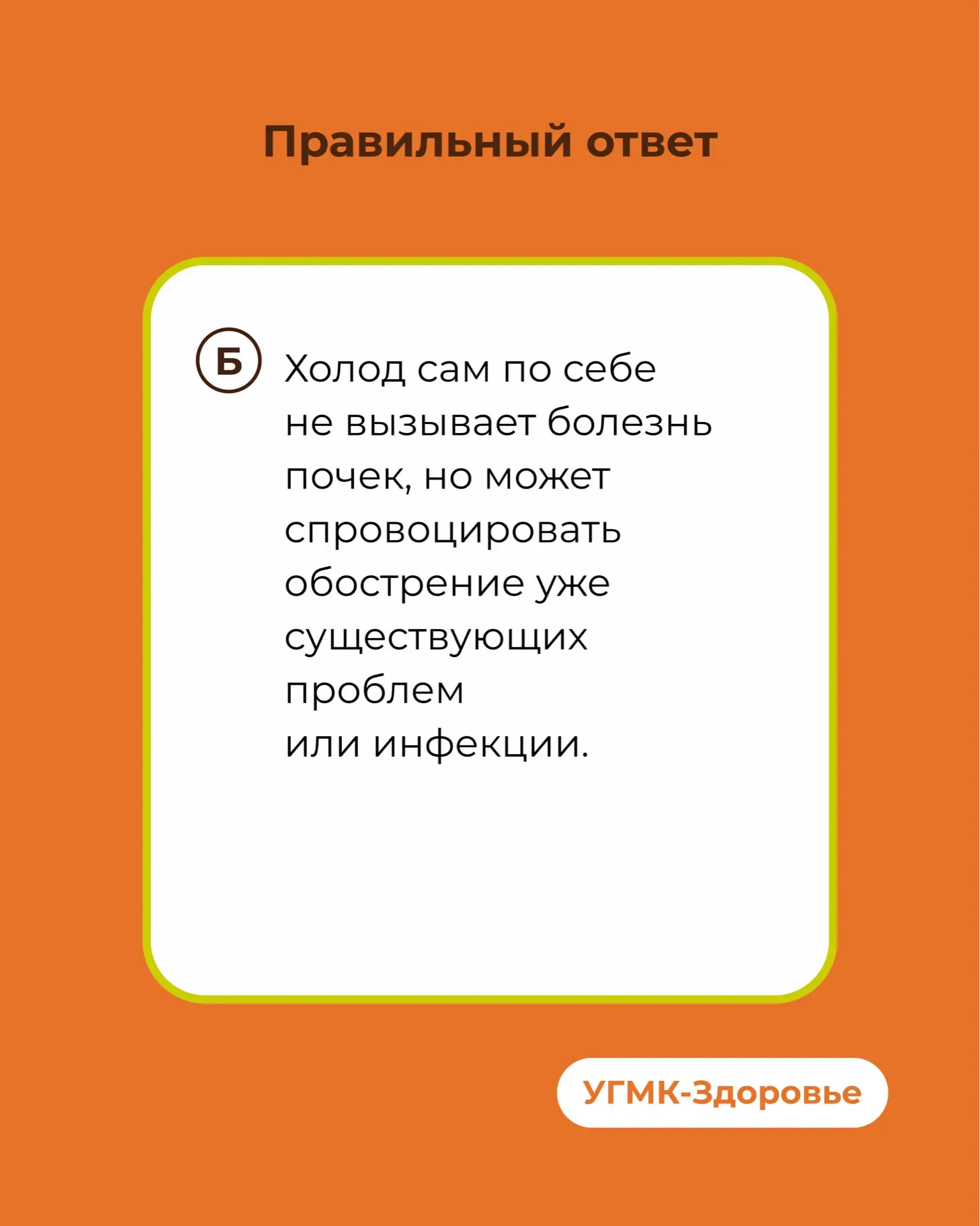 Пока вы читаете этот пост, ваши почки уже отфильтровали около литра крови  Они работают без перерыво