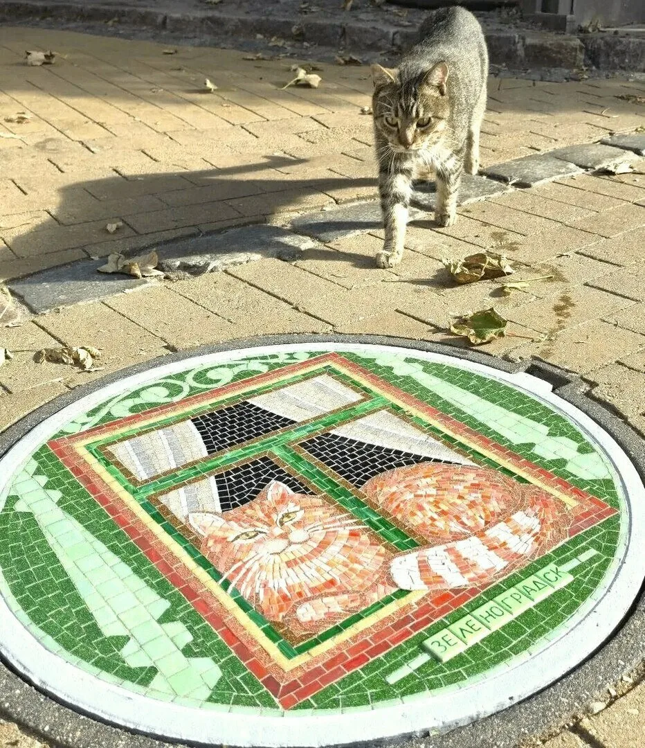 В Зеленоградске появился канализационный люк с котом 🐈

На Курортном проспекте установили новый моз