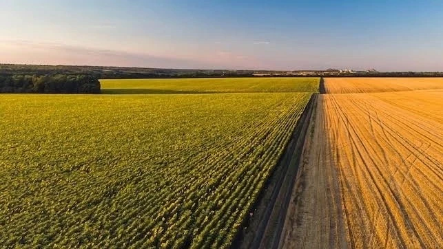 🌾 Белгородским фермерам, пострадавшим от атак, выделили более 10 гектаров земли.