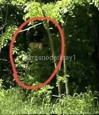 Жуткий персонаж в женской одежде напугал посетителей Солнечного острова  Краснодарцы пишут, якобы, в