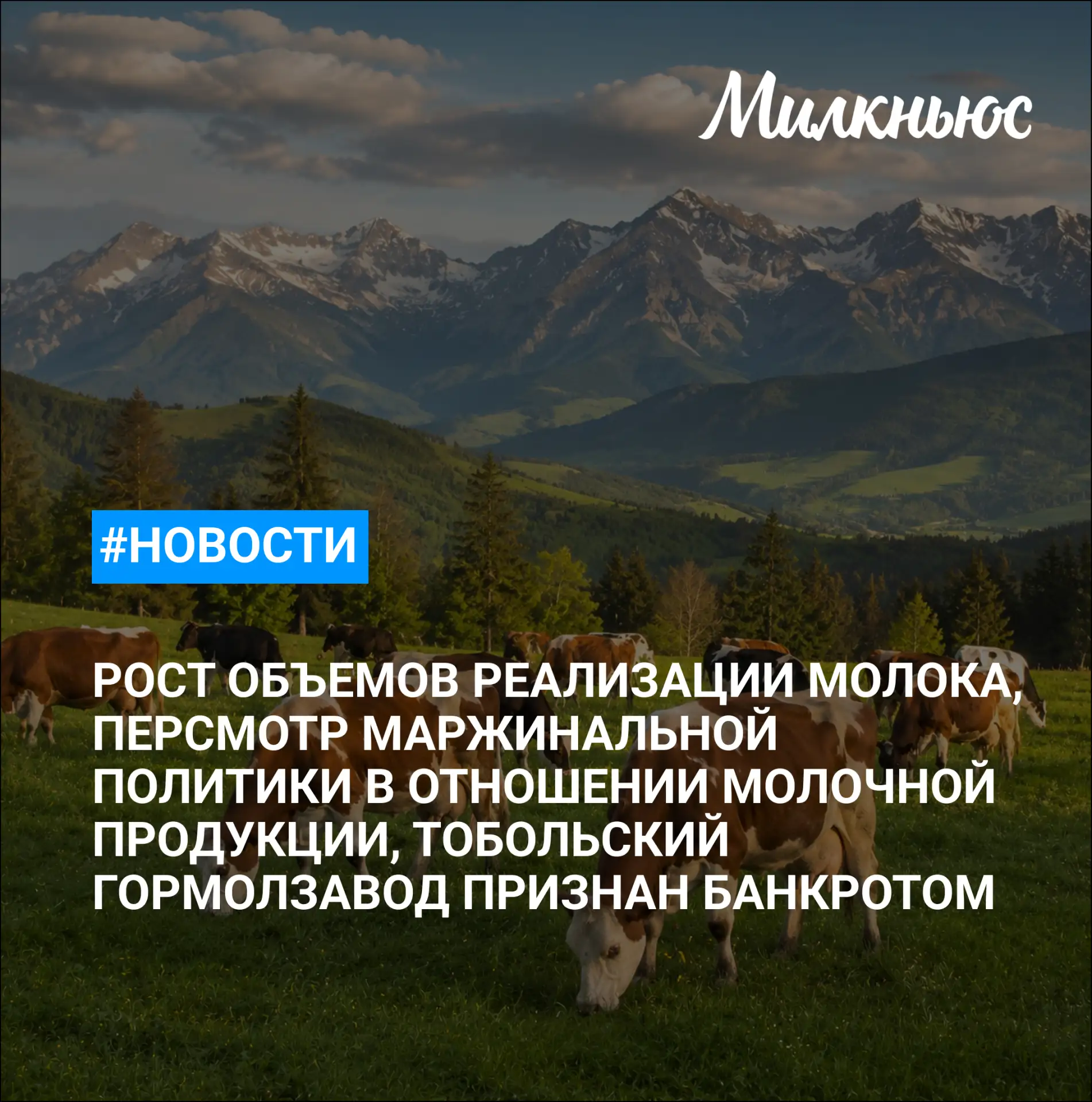 🐮 Минсельхоз предложил сетям пересмотреть маржинальную политику в отношении молочной п...