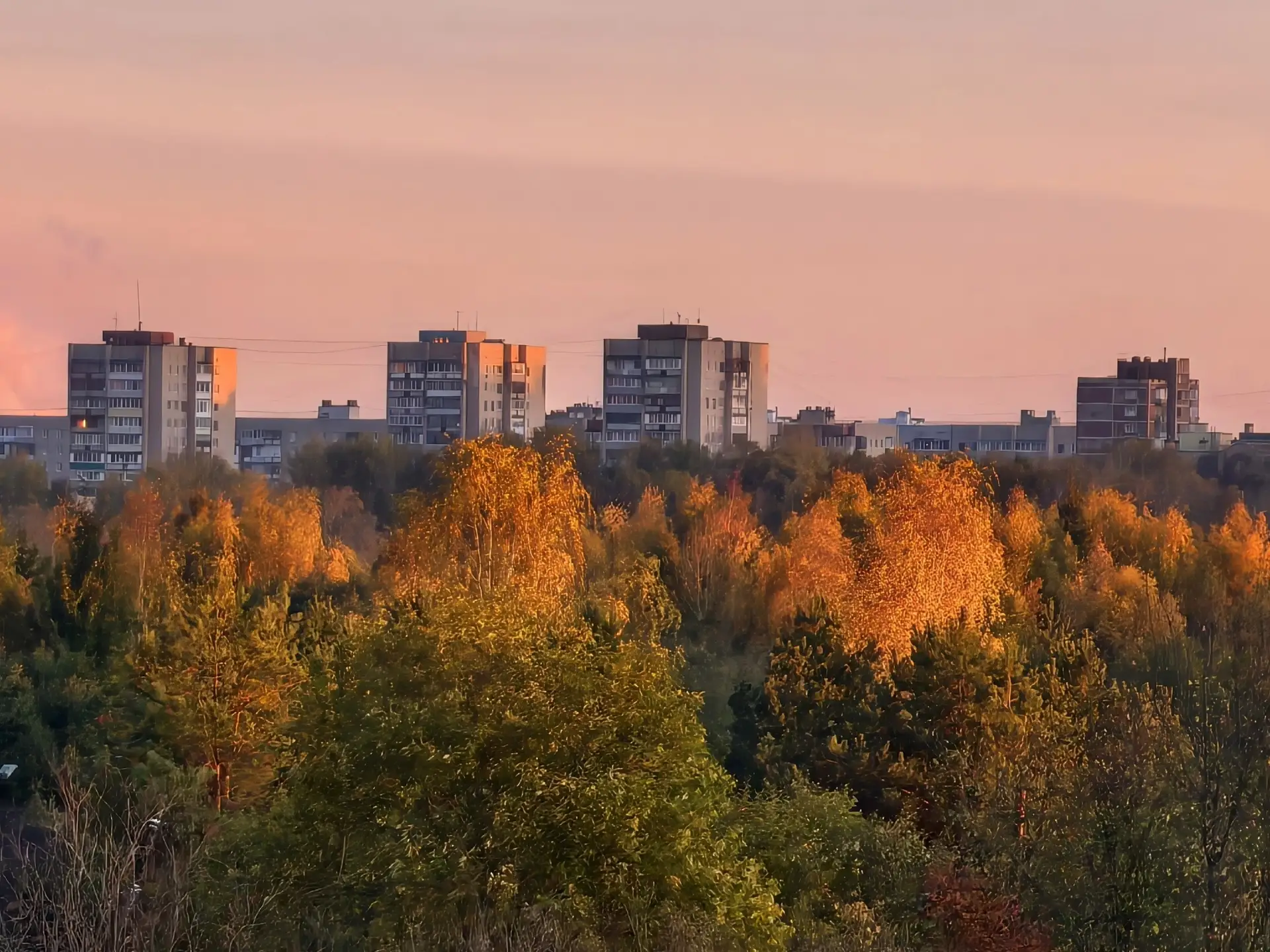 Доброе октябрьское утро! 🌄 🍁☀️
