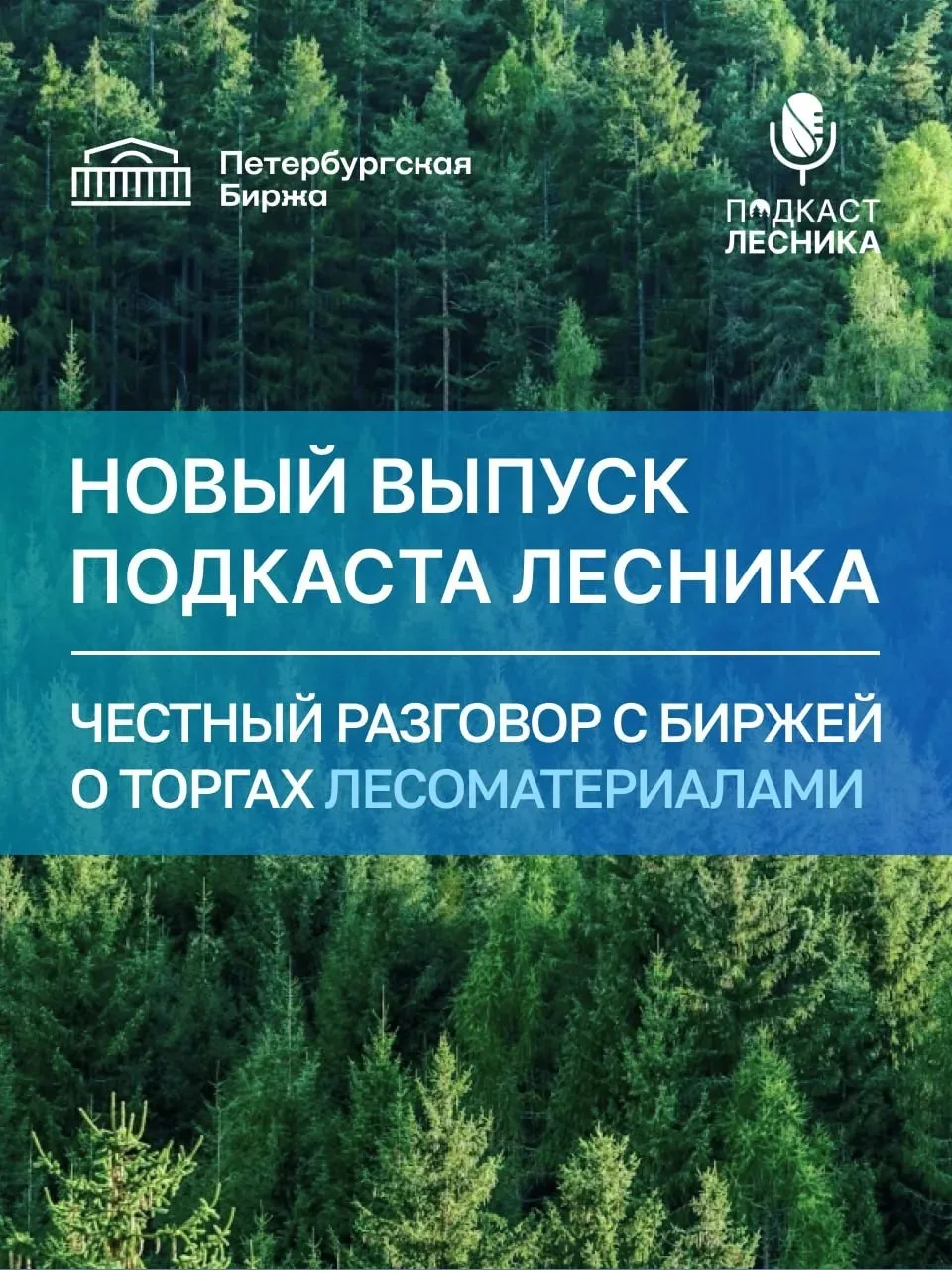 Новый выпуск уже на канале в 📱 VK Видео!