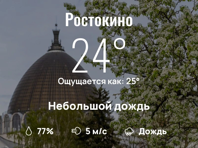 Что с погодой в Ростокино?