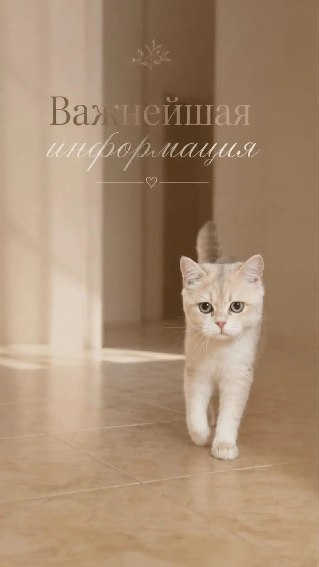 Ну очень важная информация 😉