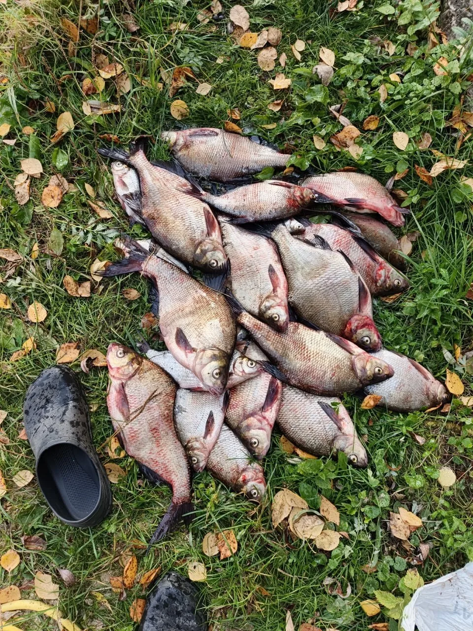 01.10.26