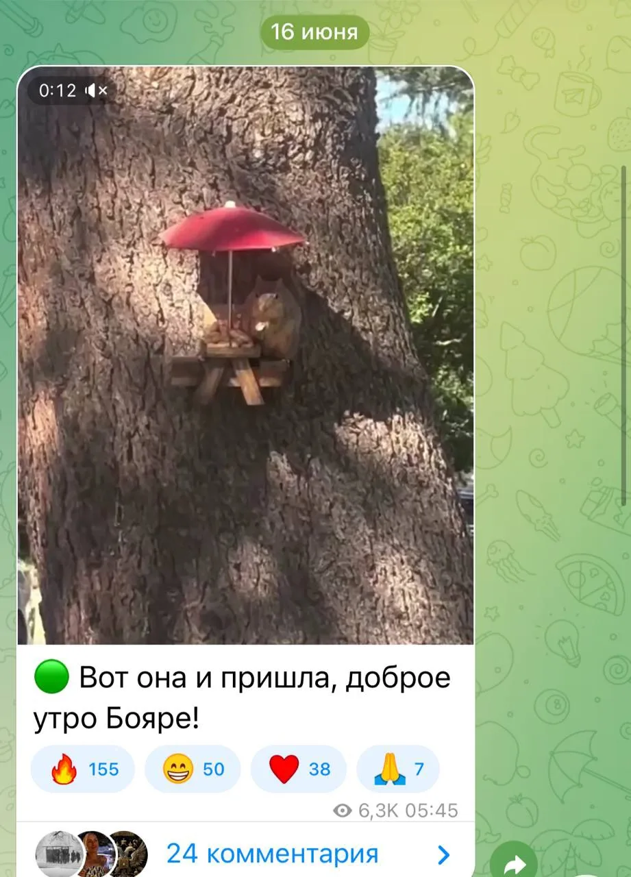 🟢 Ёбанная магия. Только щас понял. Мысли материальны!!!. Я вчера начал утро с видео с ...