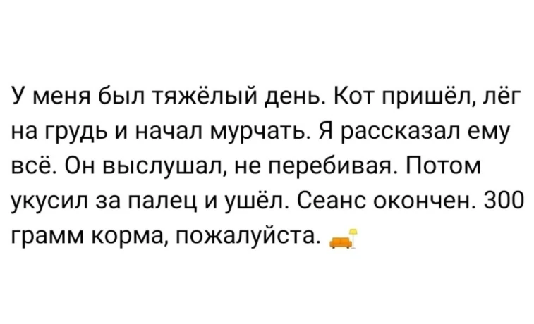 😂😂😂