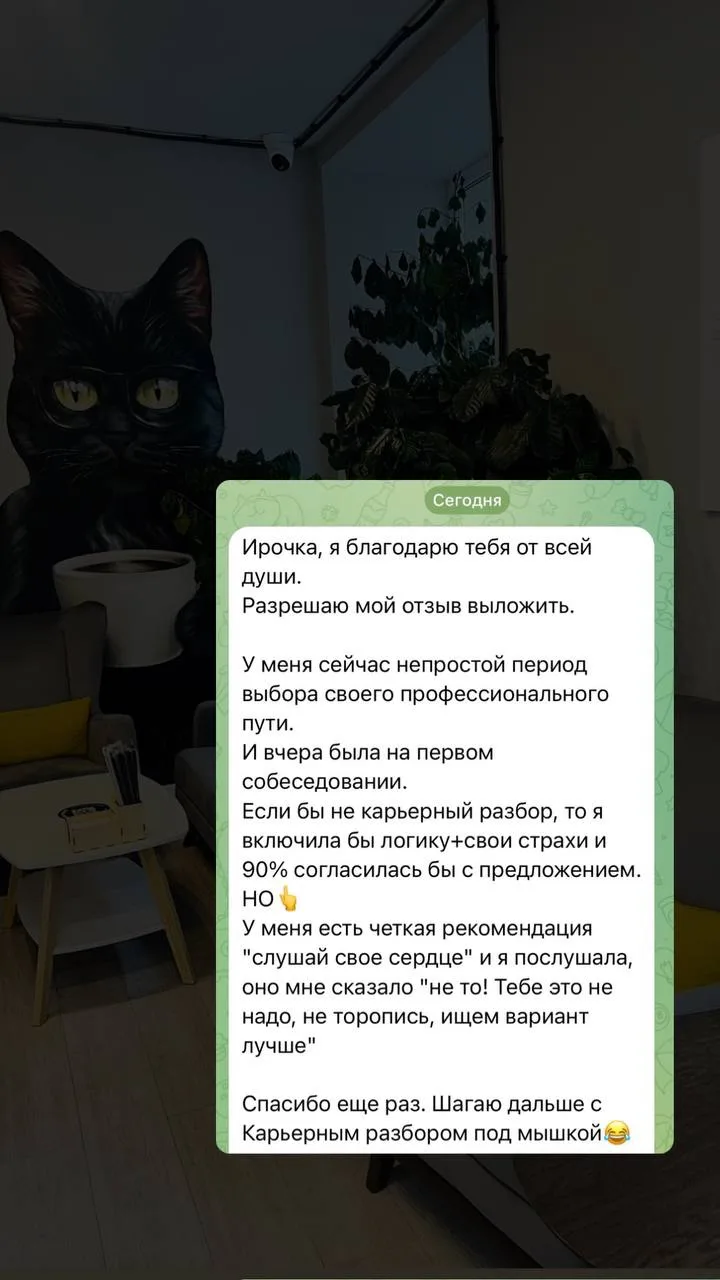 Отзыв сегодня с утра
