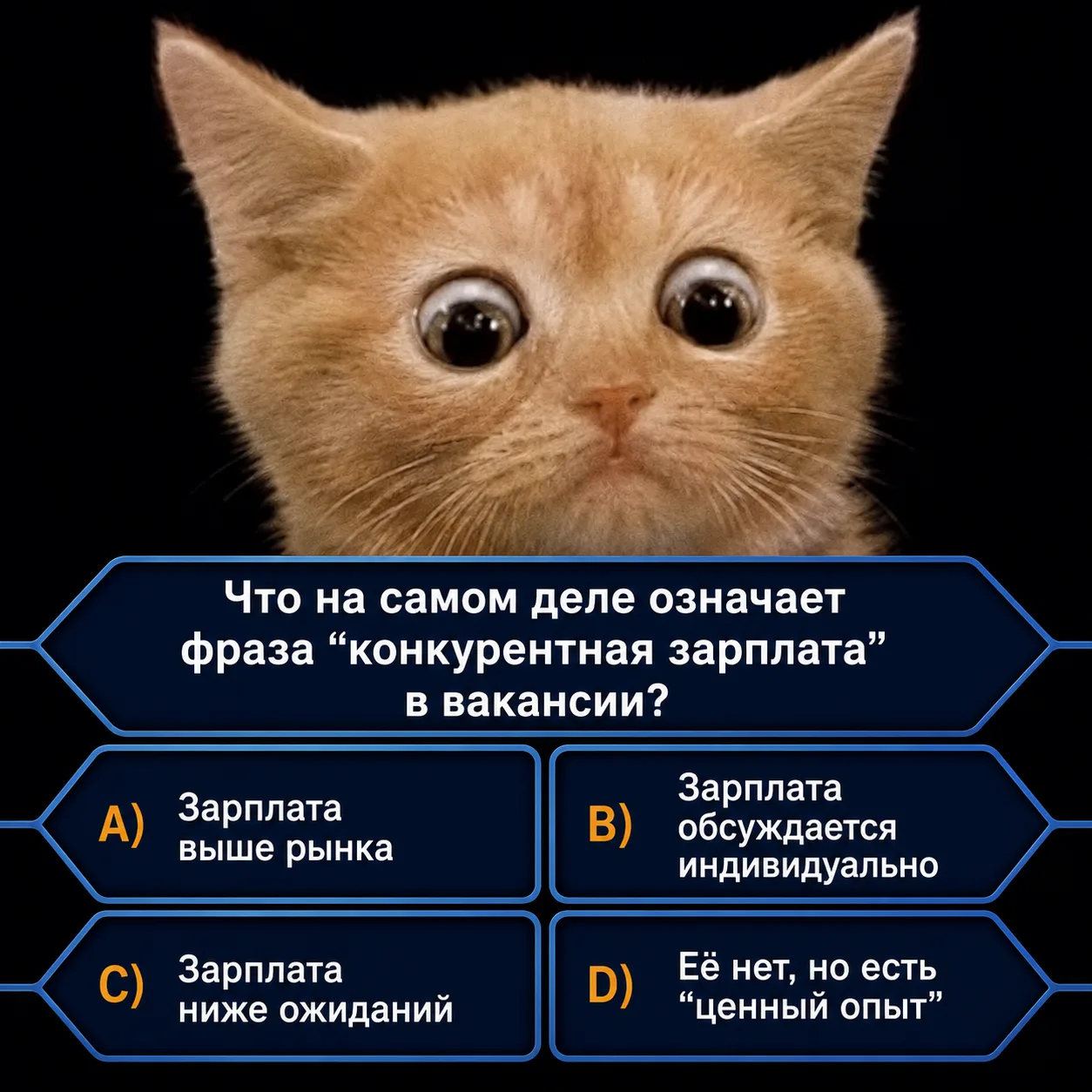 🫣 В вакансии больше загадок, чем ответов...

У нас есть вакансии, где не нужно гадать. Зарплата, ус
