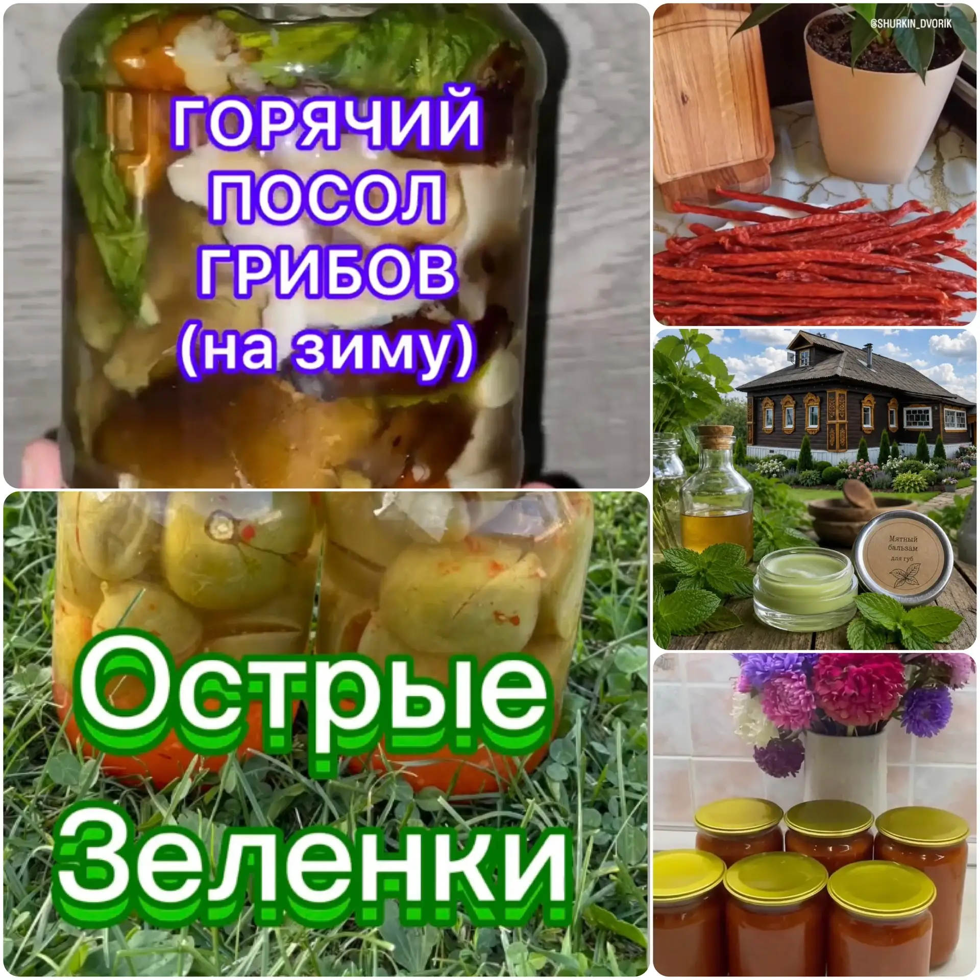ЗАГОТОВКИ-ОНЛАЙН

Предлагаем Вашему вниманию нашу совместную, небольшую, но полезную подборку рецепт