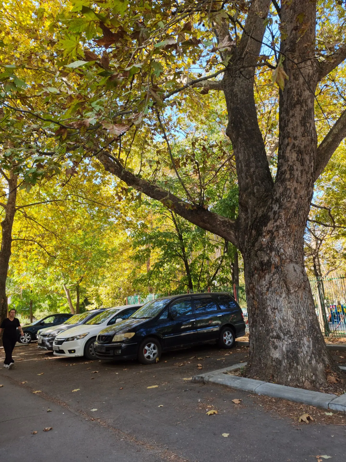 Осень,золотая осень 🍂🍁,как не хочу я чтобы лето заканчивалось