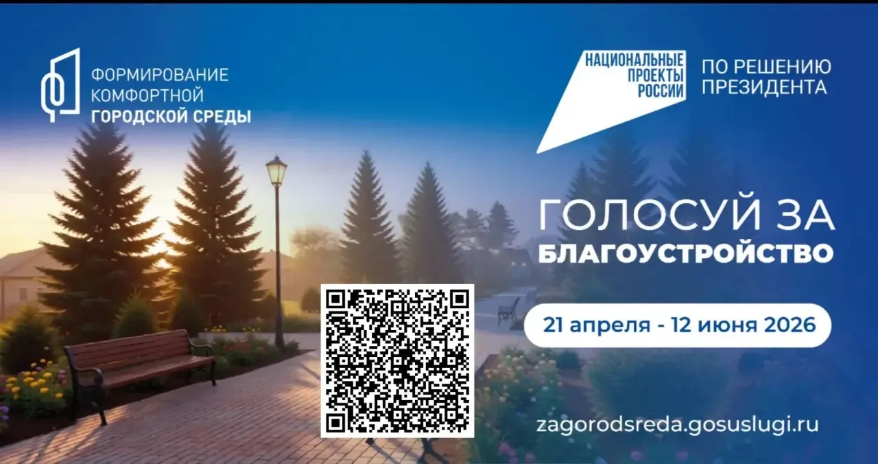 ГОЛОСУЙ ЗА БЛАГОУСТРОЙСТВО ГОРОДА КУПИНО!