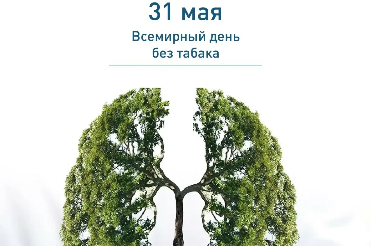 🚭 Всемирный день без табака