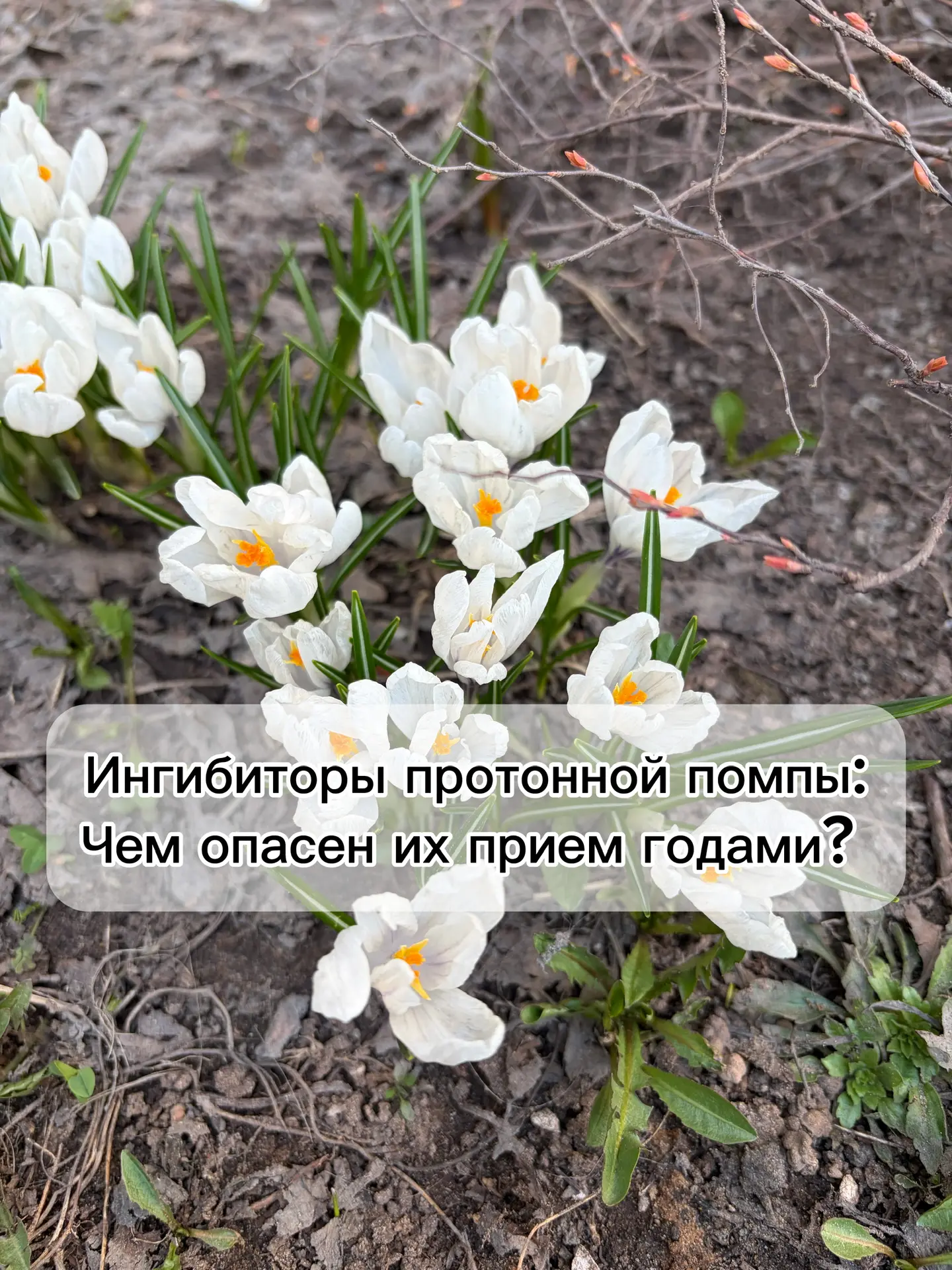 Касаемо ГЭРБ (гастроэзофагеальной рефлюксной болезни) хочется рассказать про ингибиторы...
