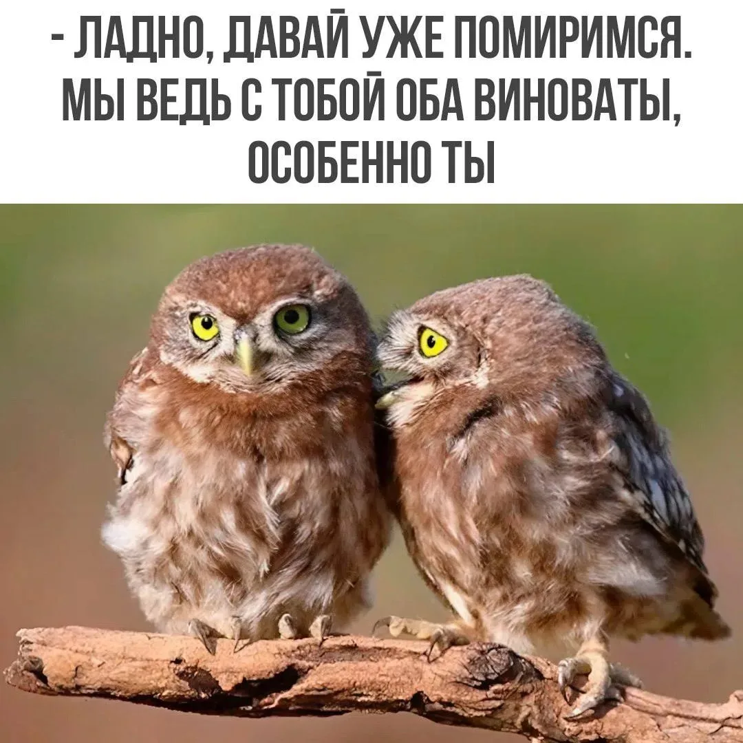 😌Проще помириться, чем что-то доказывать