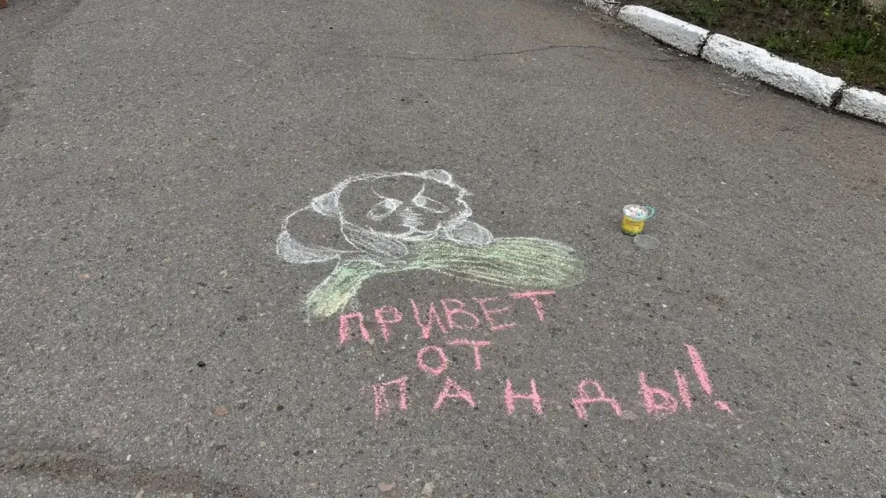 Молодежный совет Городской больницы №3 совместно с профсоюзным комитетом организовал  я...