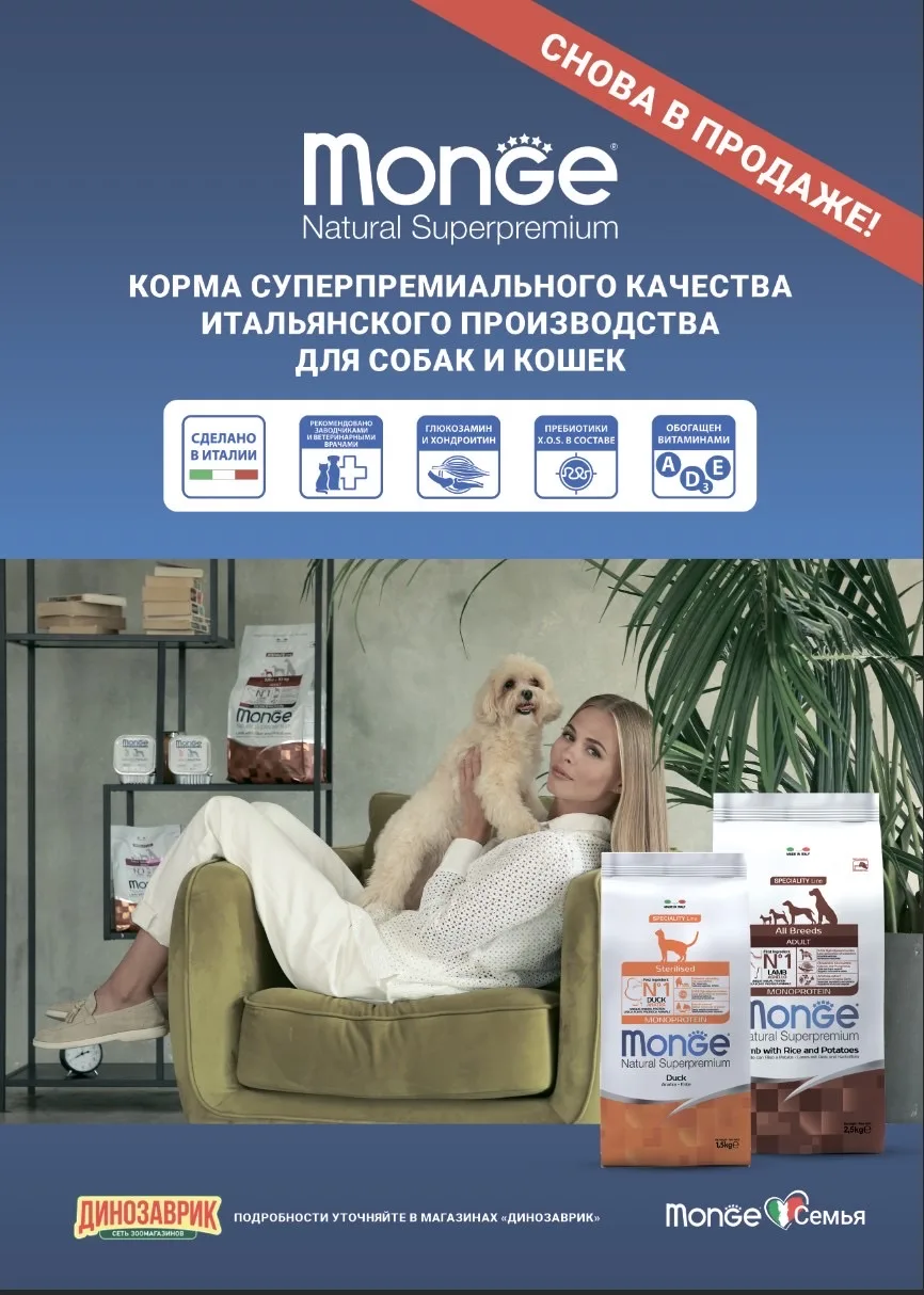 Monge снова в Динозаврике #динозаврик #monge