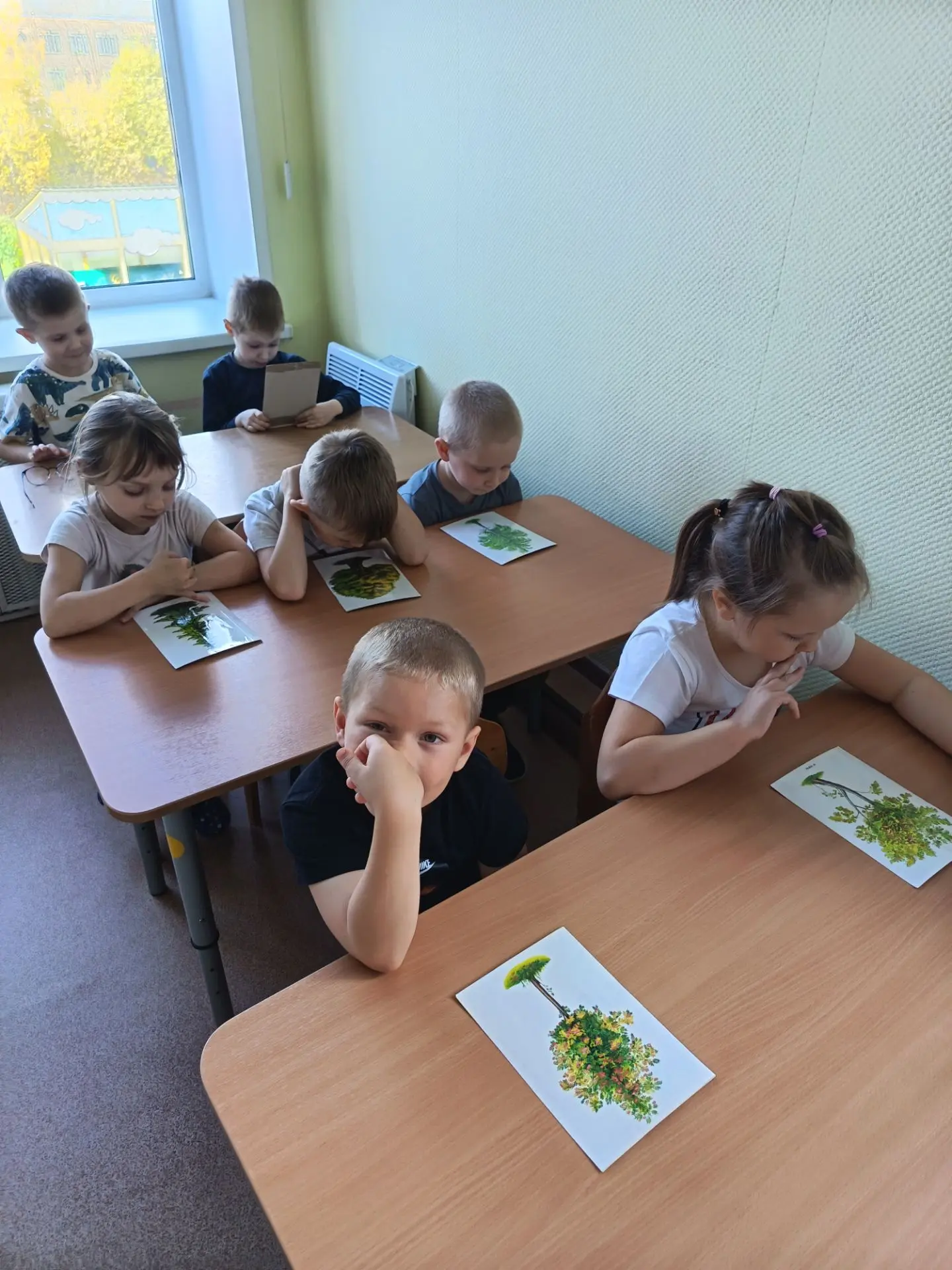 В рамках тематическое недели "Лес. Деревья" ребята вспомнили названия, части дерева, со...